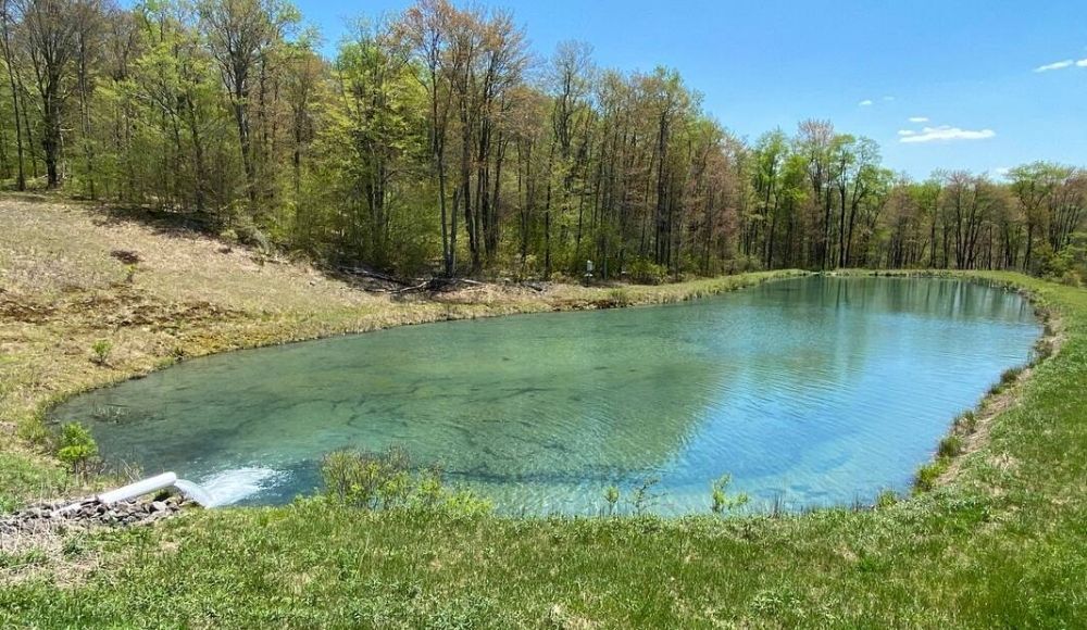 Riverkeeper_AMDstory6_2021.jpg
